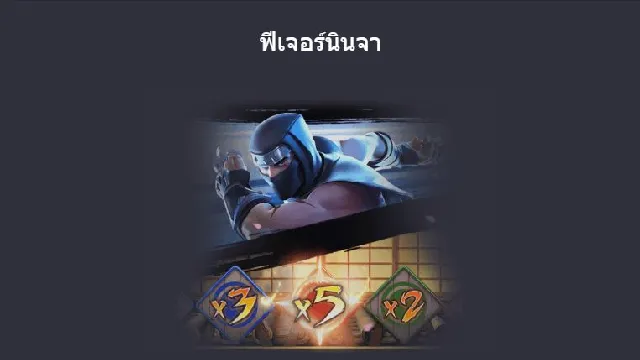 ฟีเจอร์นินจา