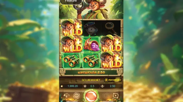 Bull Treasure Feature
