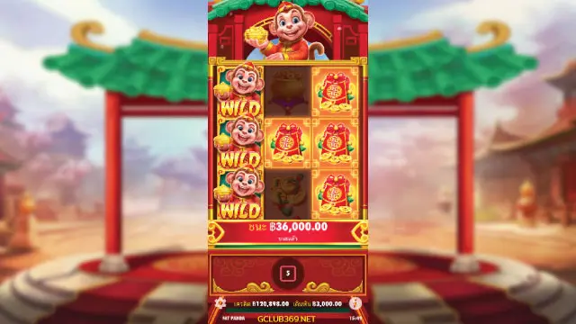 Lucky Monkey Feature 